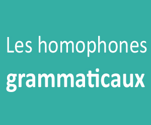 Les homophones grammaticaux PDF