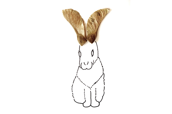 Lapin herbier des animaux