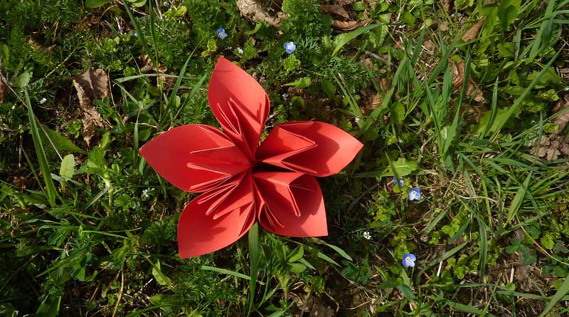 Bricolage printemps CP - CE1 - CE2 : une fleur en origami